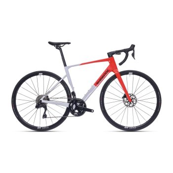 SUPERIOR XR 9.5 GF / Gloss Grey / Red